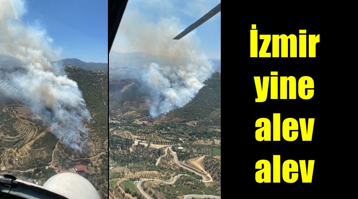 İzmir'de yine orman yangınları...