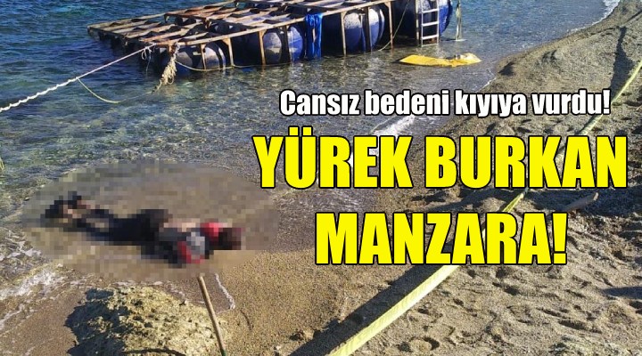İzmir'de yürek burkan manzara... Cansız bedeni kıyıya vurdu!