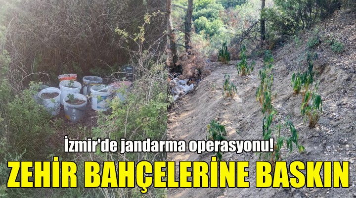 İzmir'de zehir bahçelerine baskın!