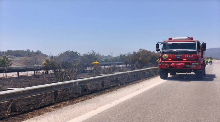 İzmir'de zeytinlik alandan çıkan yangın kontrol altına alındı