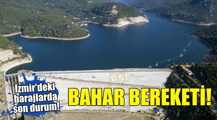 İzmir'deki barajlarda bahar bereketi!