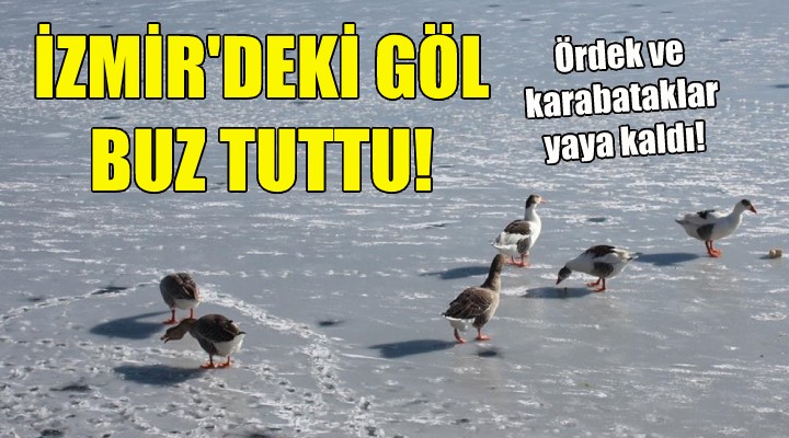 İzmir'deki göl buz tuttu!
