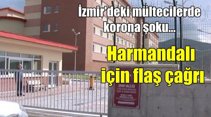 İzmir'deki mültecilerde korona şoku... Harmandalı için flaş çağrı