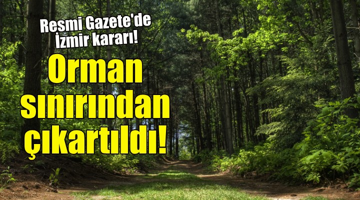 İzmir'deki o bölge orman sınırı dışına çıkartıldı!