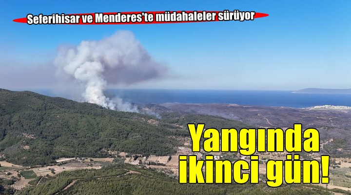İzmir'deki orman yangını 2'nci gününde