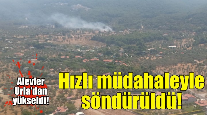 İzmir'deki orman yangını hızlı müdahaleyle söndürüldü!