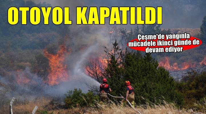 İzmir'deki orman yangını ikinci gününde
