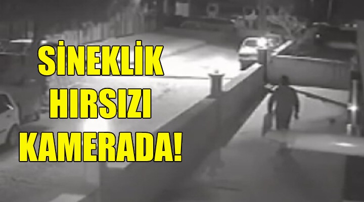 İzmir'deki sineklik hırsızı kamerada!