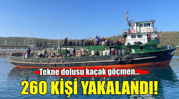 İzmir'deki tekneden 260 kaçak göçmen çıktı!