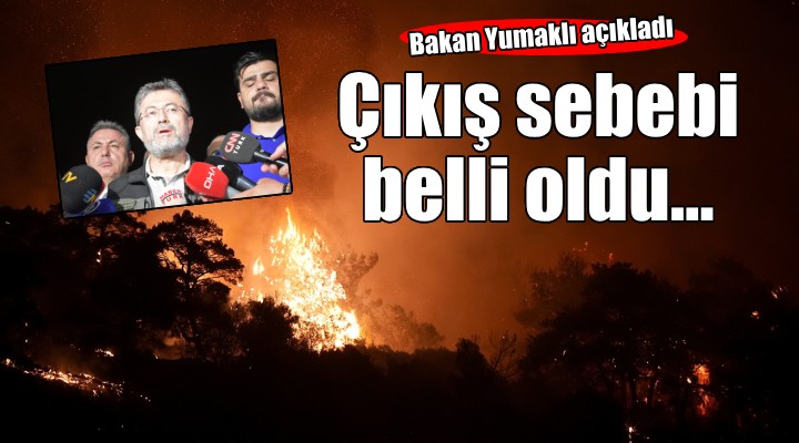 İzmir'deki yangının çıkış sebebi belli oldu!