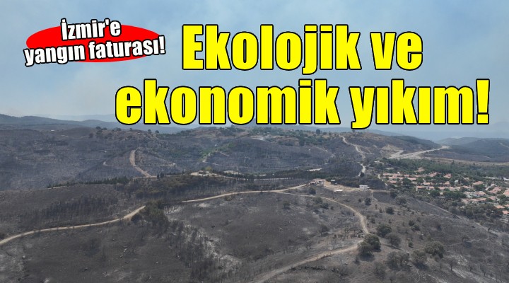 İzmir'deki yangınlar ekonomik ve ekolojik yıkım getirdi!