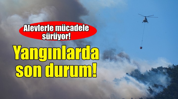 İzmir'deki yangınlarda son durum!