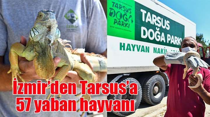 İzmir'den Tarsus'a 57 yaban hayvanı