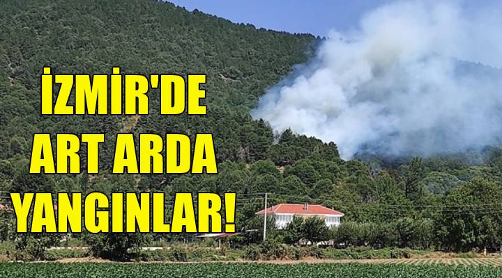 İzmir'de art arda yangınlar!