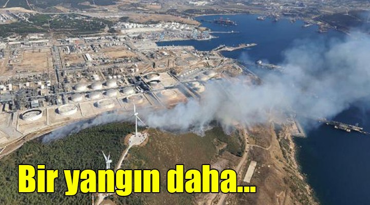 İzmir'den peş peşe yangın haberleri! Şimdi de Petkim'in yakınında yangın çıktı