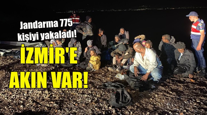 İzmir'e kaçak göçmen akını... Jandarma 775 kişiyi yakaladı!