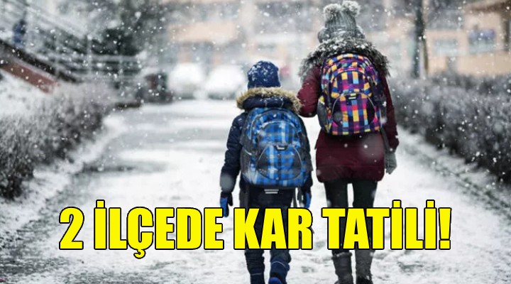 İzmir'in 2 ilçesinde kar tatili!
