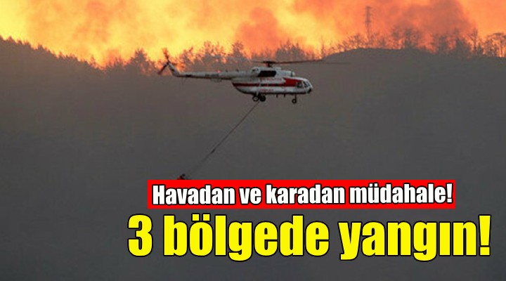 İzmir'in 3 ilçesinde orman yangını!