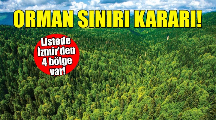 İzmir'in 4 bölgesi için orman sınırı kararı!