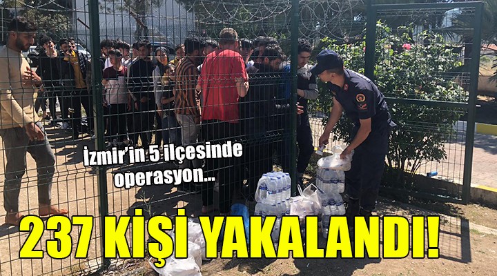İzmir'in 5 ilçesinde 237 kaçak göçmen yakalandı
