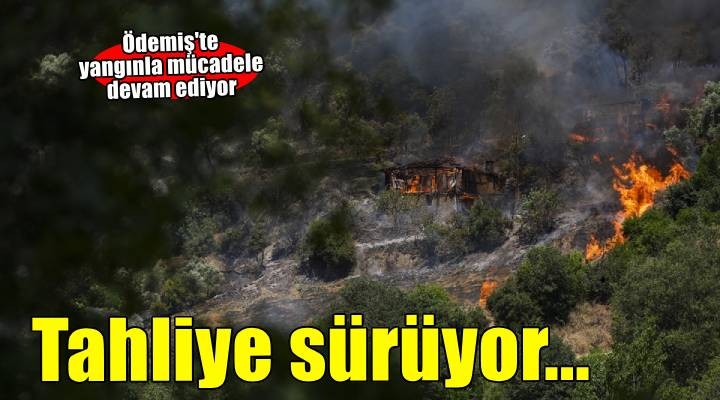 İzmir'in Ödemiş ilçesindeki orman yangınına müdahale sürüyor