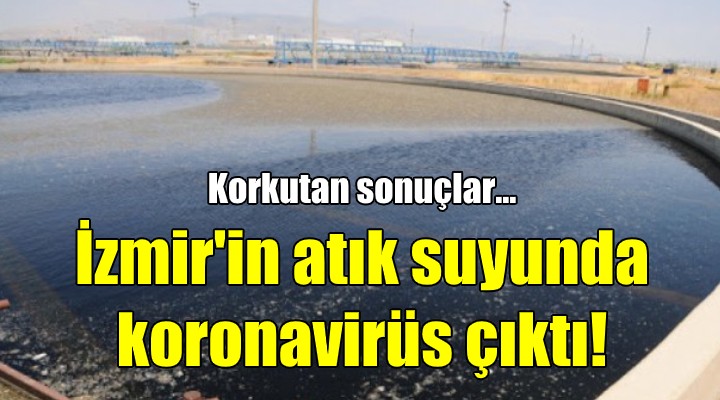 İzmir'in atık suyunda koronavirüs çıktı!