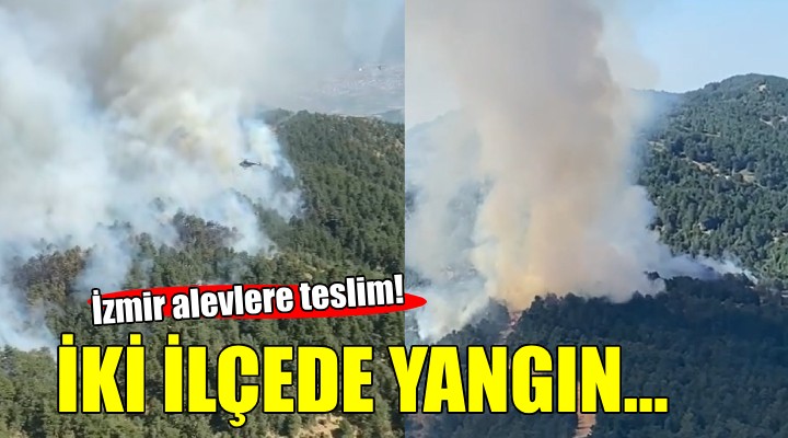 İzmir'in iki ilçesinde orman yangını...