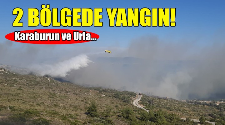 İzmir'in iki ilçesinde yangın paniği!