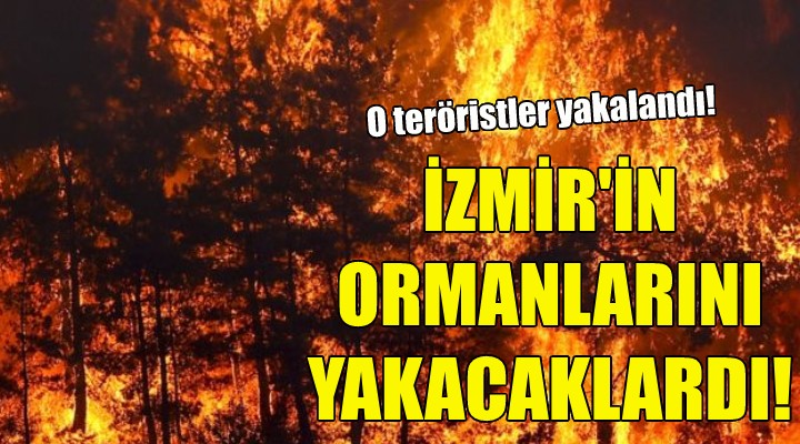İzmir'in ormanlarını yakacaklardı!