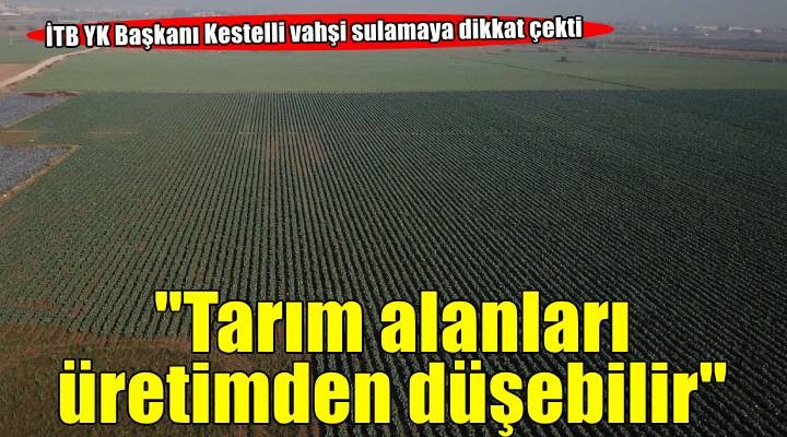 ‘İzmir'in verimli tarım alanları birkaç on yılda üretimden düşebilir'