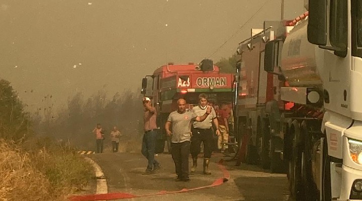 İzmir itfaiyesi tüm gücüyle sahada