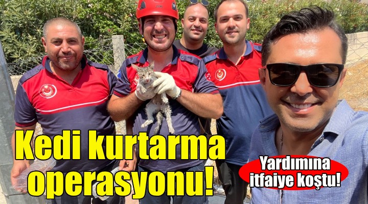 İzmir itfaiyesinden kedi kurtarma operasyonu!