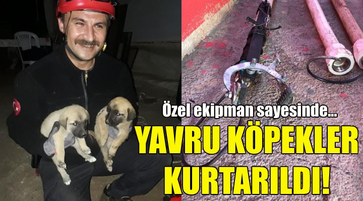 İzmir itfaiyesinden köpek kurtarma operasyonu!