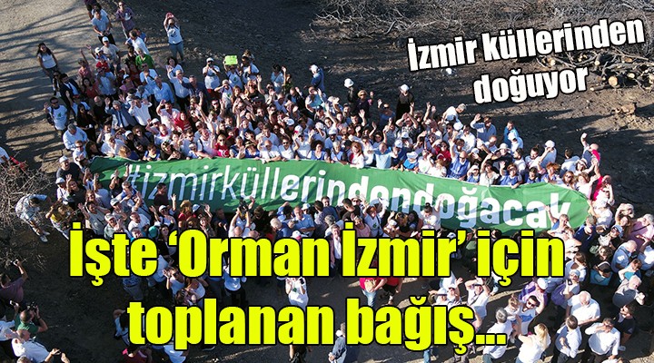 İzmir küllerinden doğuyor... İşte 'Orman İzmir' için toplanan bağış...