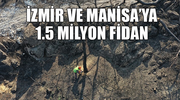 İzmir ve Manisa'ya 1 buçuk milyon fidan