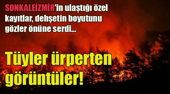 İzmir yangınıyla ilgili tüyler ürperten görüntüler! SONKALEİZMİR'in ulaştığı kayıtlar dehşetin boyutunu gösterdi