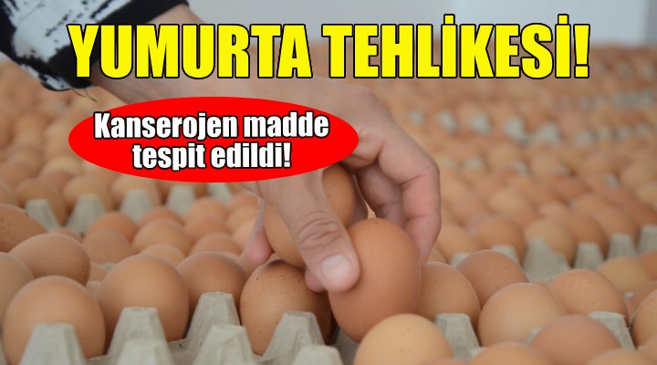 İzmir'de kanserojen yumurta tehlikesi!