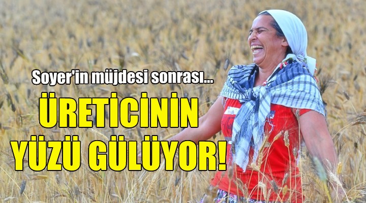 İzmir'de karakılçık buğdayı eken üreticinin yüzü güldü!