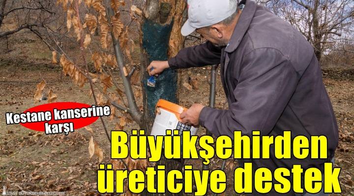 İzmir'de kestane kanseri ile mücadele sürüyor