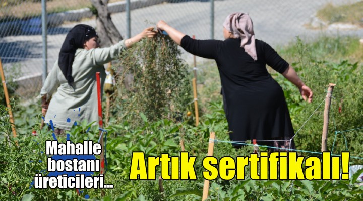 İzmir'de mahalle bostanı üreticileri artık sertifikalı!