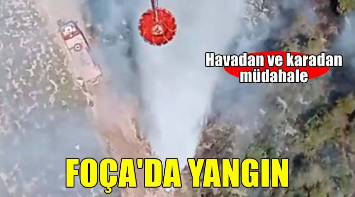 İzmir'de maki yangını 1 saatte kontrol altına alındı