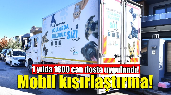 İzmir'de mobil araçla kısırlaştırma hizmeti!