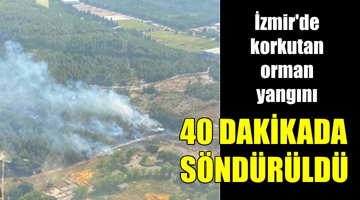 İzmir'de orman yangını... 40 dakikada kontrol altına alındı!
