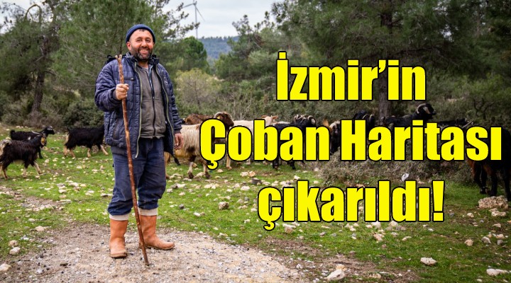 İzmir'in Çoban Haritası çıkarıldı!