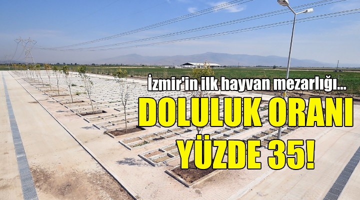 İzmir'in ilk hayvan mezarlığında doluluk oranı yüzde 35'e ulaştı!