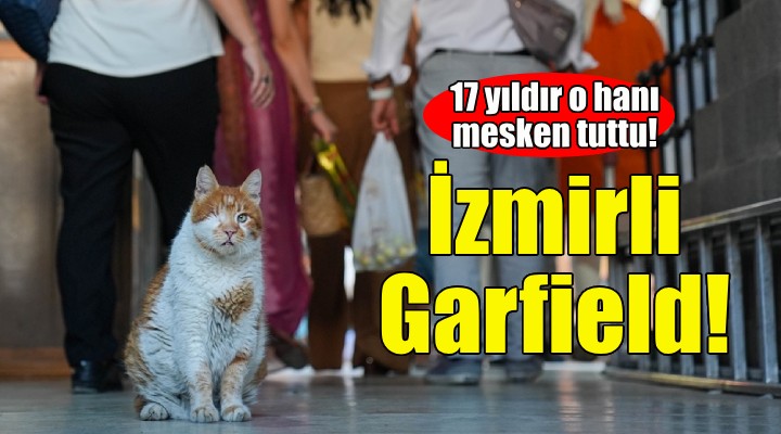 İzmirli Garfield... 17 yıldır o hanı mesken tuttu!