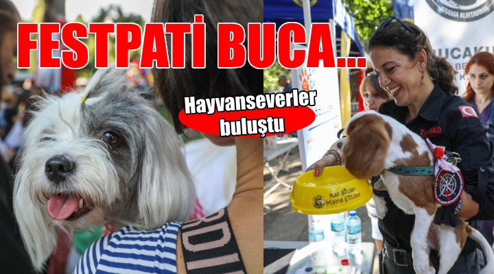 İzmirli hayvan dostları FestPati Buca'da buluştu...