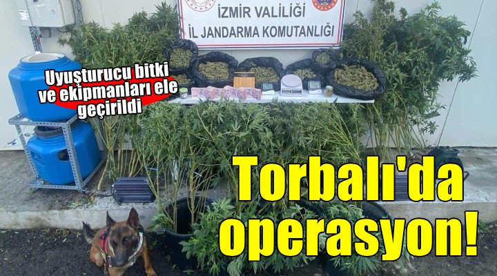 İzmir'de uyuşturucu operasyonları...