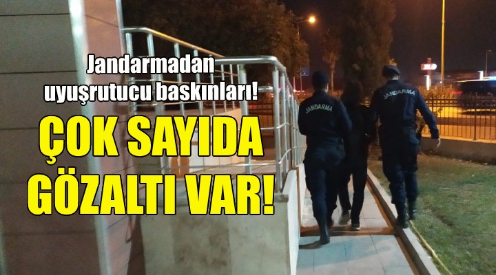 Jandarmadan uyuşturucu baskınları... Çok sayıda gözaltı var!