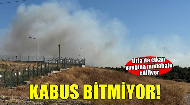 Kabus bitmiyor! Urla'da çıkan orman yangınına müdahale ediliyor